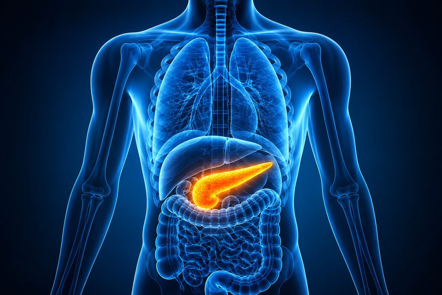 Pancreas e salute: l’importanza di non ignorare i segnali